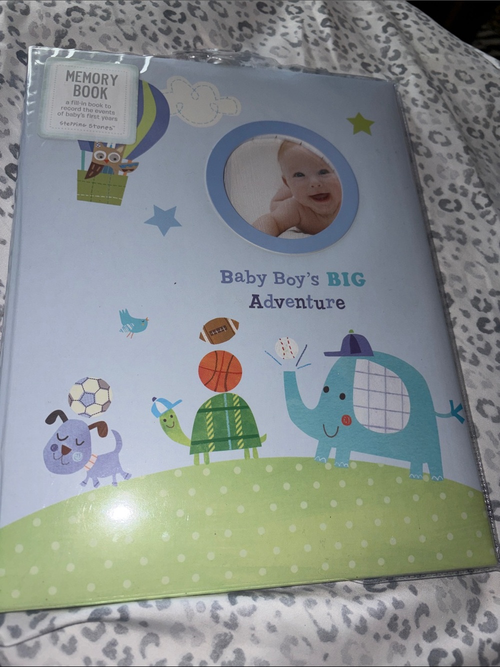 Memory Book Baby Keepsake - Blue with Green Stepping Stones CR Gibson